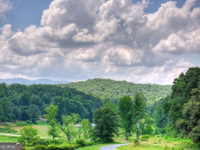 246 Bearden Farm Overlook, Blue Ridge, GA 30513