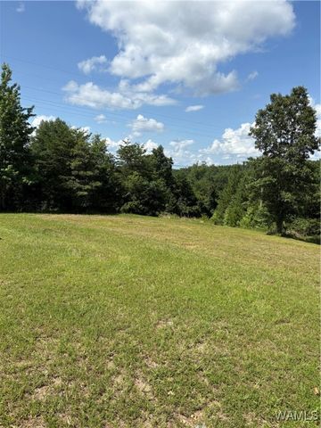11783 Holt Lock And Dam, Cottondale, AL 35453