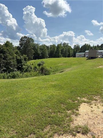 11783 Holt Lock And Dam, Cottondale, AL 35453