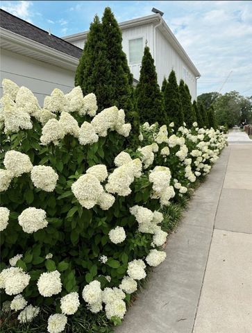 102 NE F Street, Bentonville, AR 72712