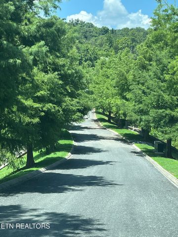 Stone Bridge Drive, Dandridge, TN 37725