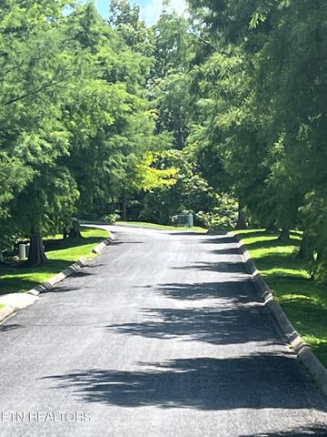 Stone Bridge Drive, Dandridge, TN 37725
