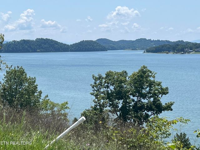 Stone Bridge Drive, Dandridge, TN 37725