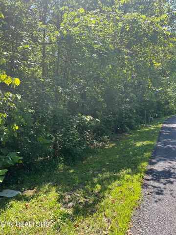 Stone Bridge Drive, Dandridge, TN 37725