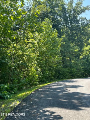 Stone Bridge Drive, Dandridge, TN 37725