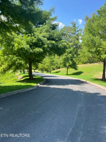 Stone Bridge Drive, Dandridge, TN 37725