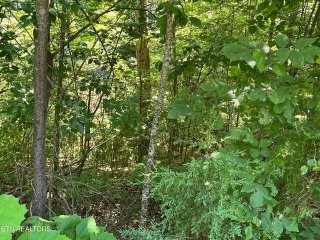 Stone Bridge Drive, Dandridge, TN 37725