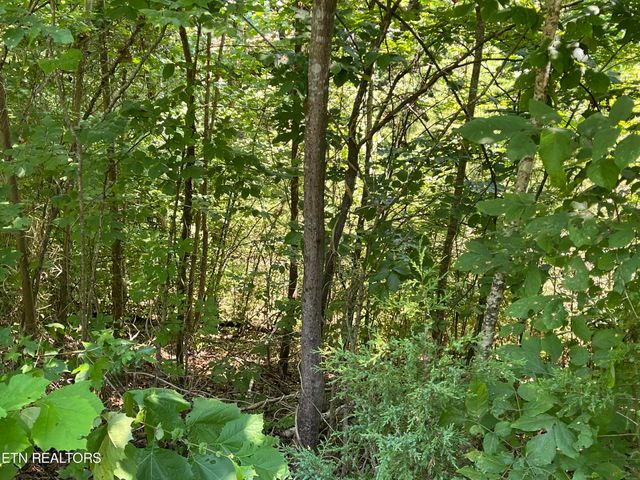 Stone Bridge Drive, Dandridge, TN 37725