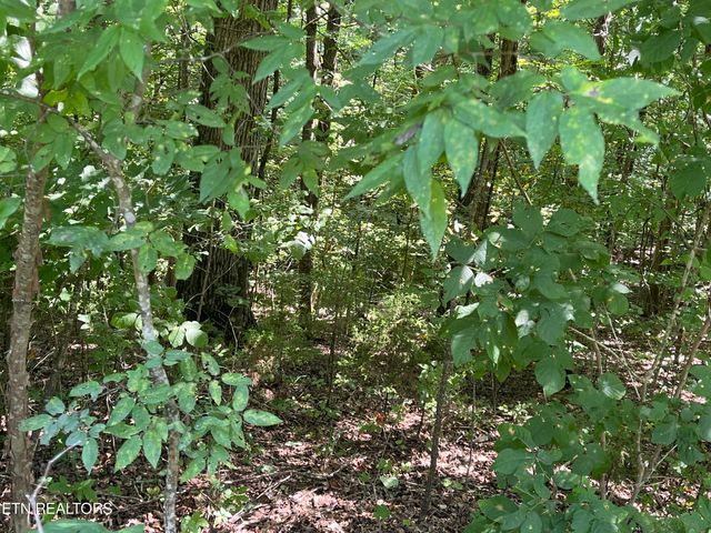 Stone Bridge Drive, Dandridge, TN 37725