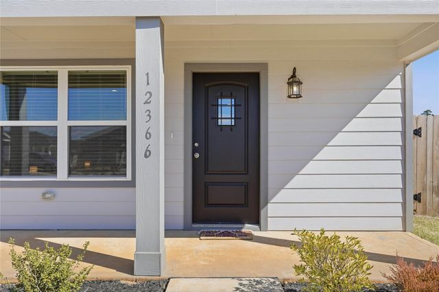 12366 Sword Point Court, Willis, TX 77378