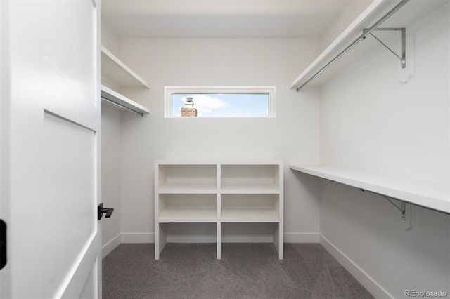 872 S Vine Street, Denver, CO 80209