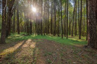 355 Firview Lane, Wilderville, OR 97543