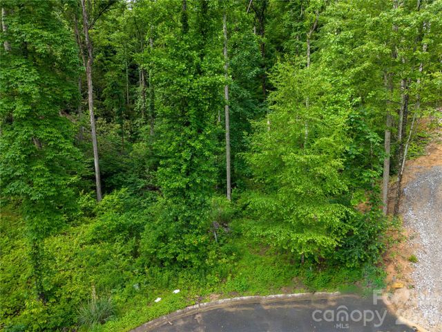 334 Carriage Crest Drive, Hendersonville, NC 28791