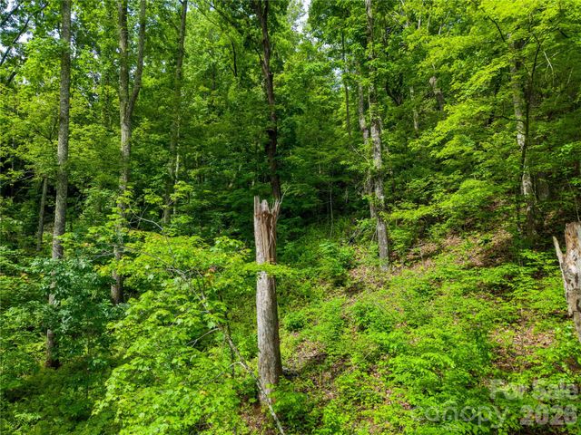 334 Carriage Crest Drive, Hendersonville, NC 28791