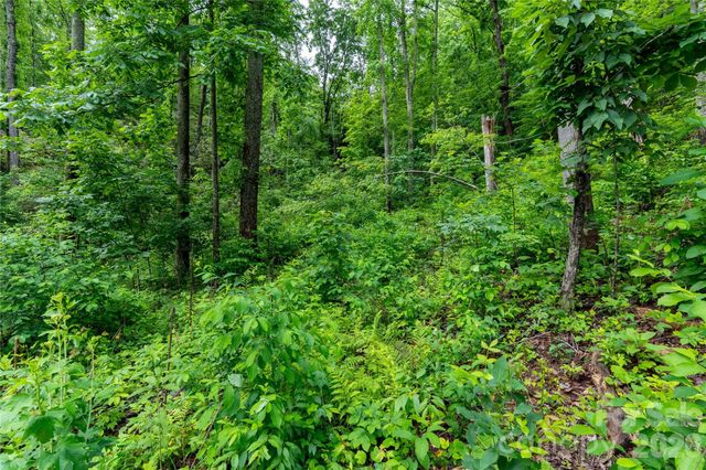 334 Carriage Crest Drive, Hendersonville, NC 28791
