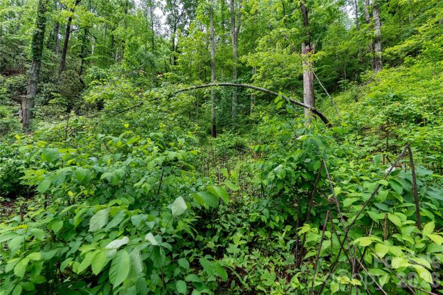 334 Carriage Crest Drive, Hendersonville, NC 28791