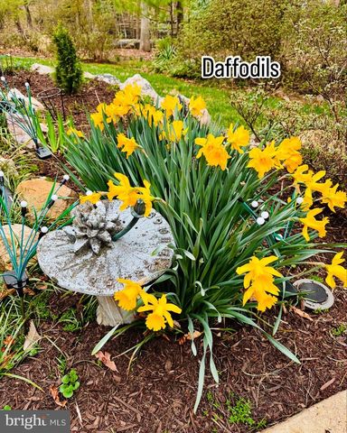 8825 CHARLES HAWKINS WAY, Annandale, VA 22003