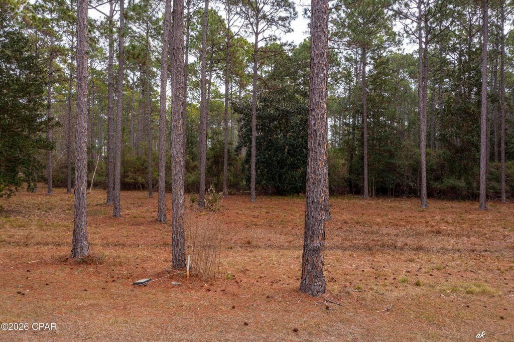 Image 2 of property listing at 7534 Morning Marsh Trail, Panama City Beach, FL 32413