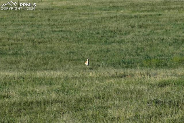 9545 N Yoder Road, Calhan, CO 80808