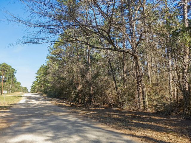 13167 Mill Creek Drive N, Plantersville, TX 77363