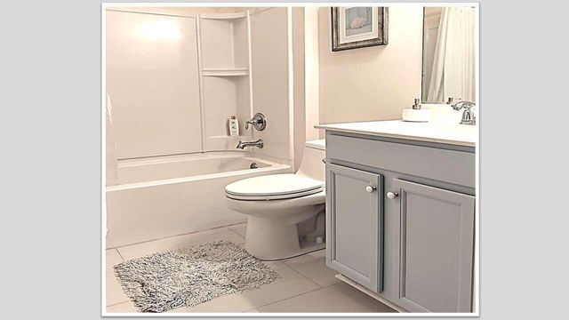 169 Sea Lavender Lane, Summerville, SC 29486