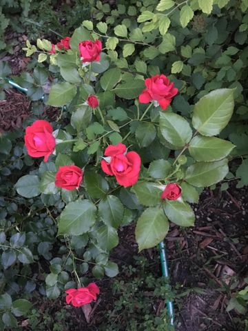 571 Juul Road SW, Hutchinson, MN 55350