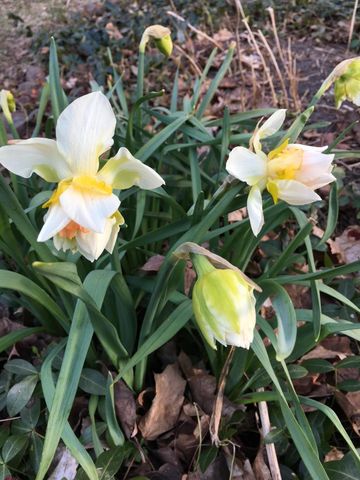 571 Juul Road SW, Hutchinson, MN 55350