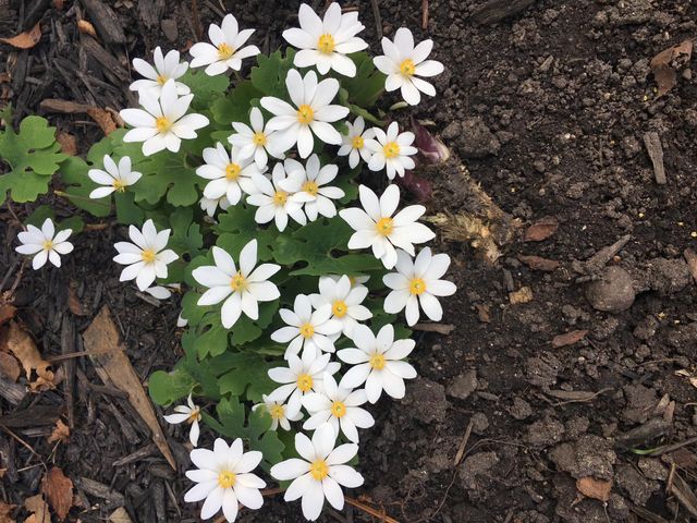 571 Juul Road SW, Hutchinson, MN 55350