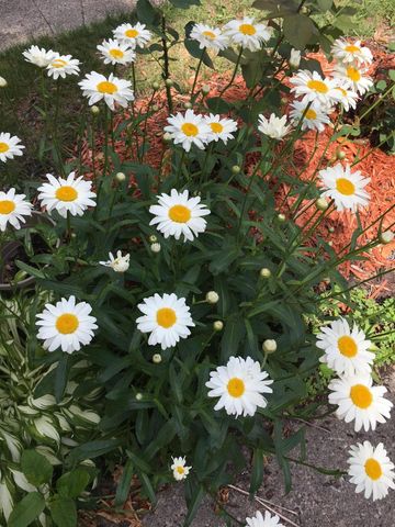 571 Juul Road SW, Hutchinson, MN 55350