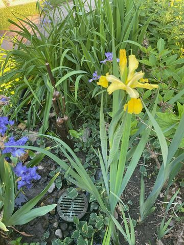 571 Juul Road SW, Hutchinson, MN 55350