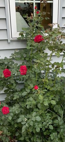 571 Juul Road SW, Hutchinson, MN 55350