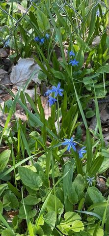 571 Juul Road SW, Hutchinson, MN 55350