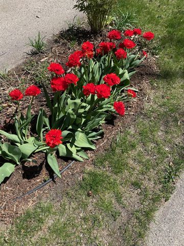 571 Juul Road SW, Hutchinson, MN 55350