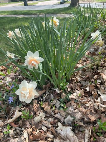 571 Juul Road SW, Hutchinson, MN 55350