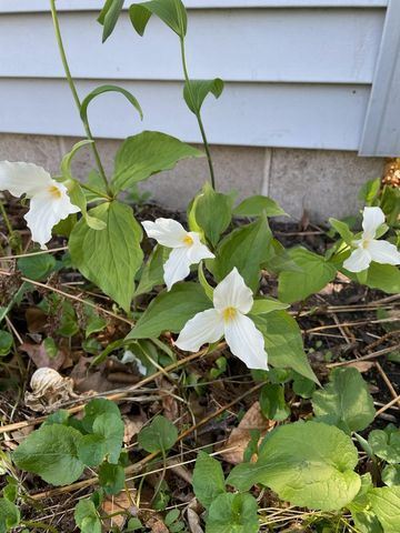 571 Juul Road SW, Hutchinson, MN 55350