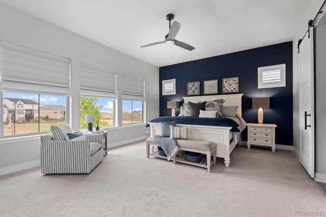 3359 Carabiner Street, Castle Rock, CO 80108