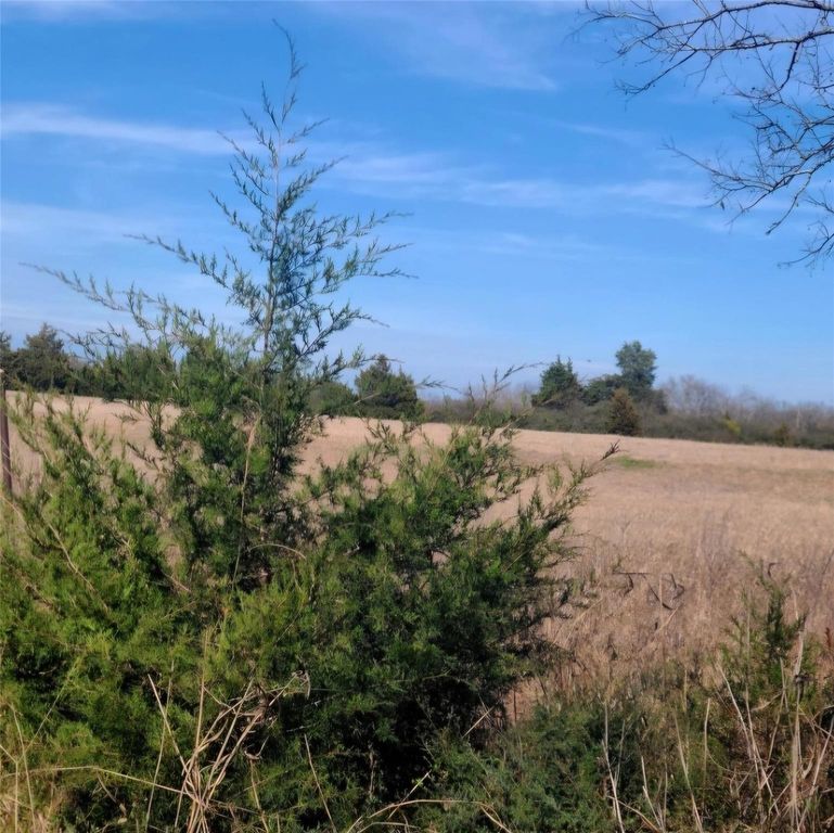 3366 County Road 1114, Greenville, TX 75401