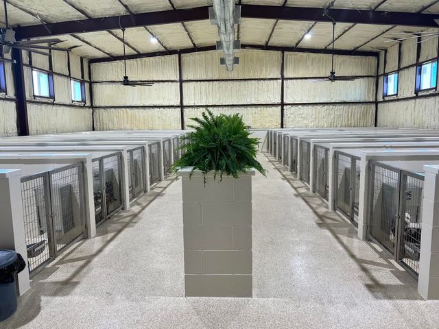 14981 W State Highway 22, Blooming Grove, TX 76626