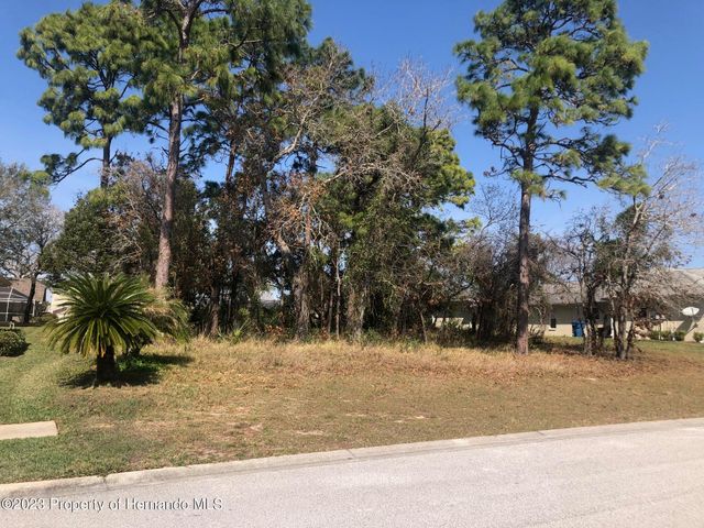 13363 Newcastle Avenue, Spring Hill, FL 34609