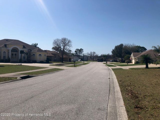 13363 Newcastle Avenue, Spring Hill, FL 34609