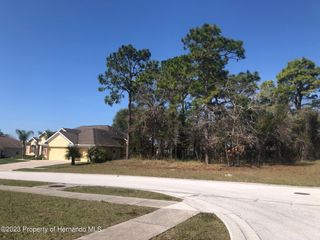 13363 Newcastle Avenue, Spring Hill, FL 34609