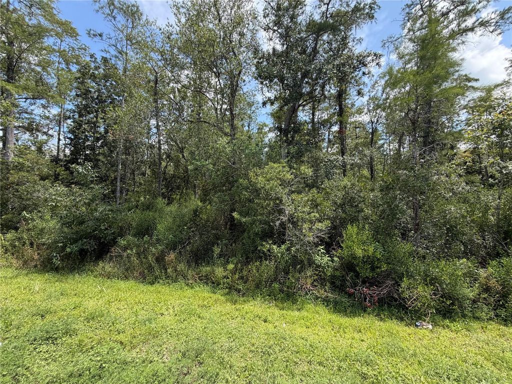 Image 1 of property listing at STARRY STREET, Orlando, FL 32833
