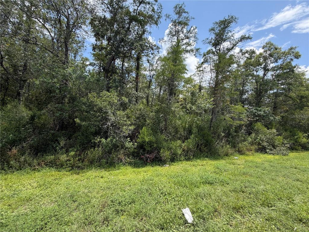 Image 3 of property listing at STARRY STREET, Orlando, FL 32833