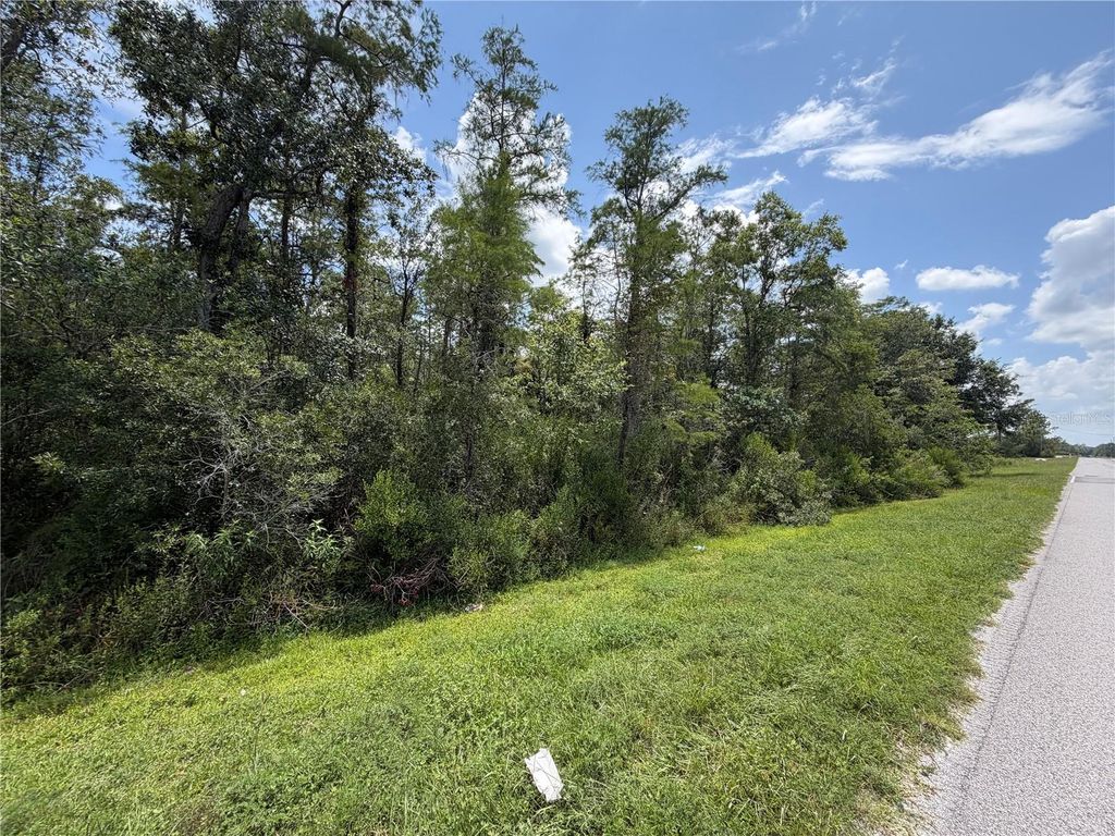 Image 4 of property listing at STARRY STREET, Orlando, FL 32833