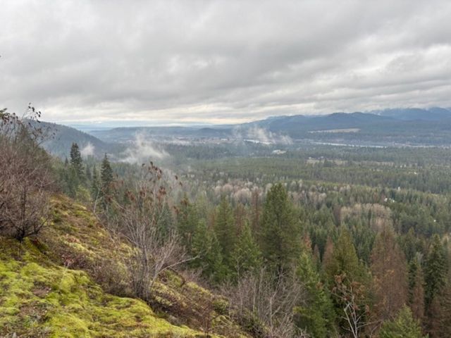 xx S Bobier Rd, Newport, WA 99156