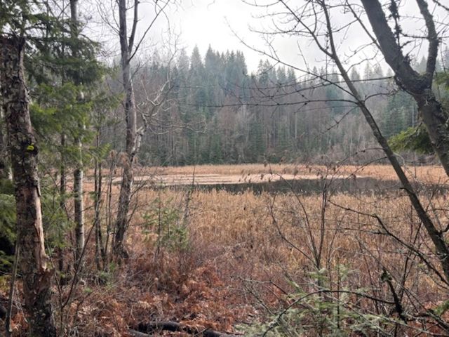 xx S Bobier Rd, Newport, WA 99156