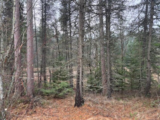 xx S Bobier Rd, Newport, WA 99156