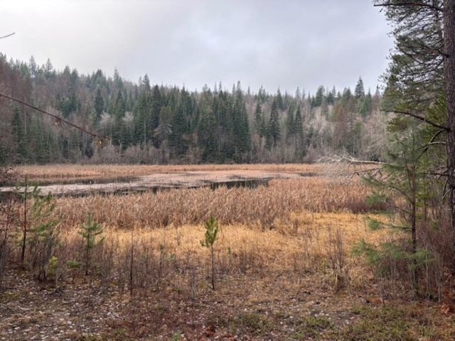 xx S Bobier Rd, Newport, WA 99156