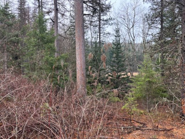 xx S Bobier Rd, Newport, WA 99156