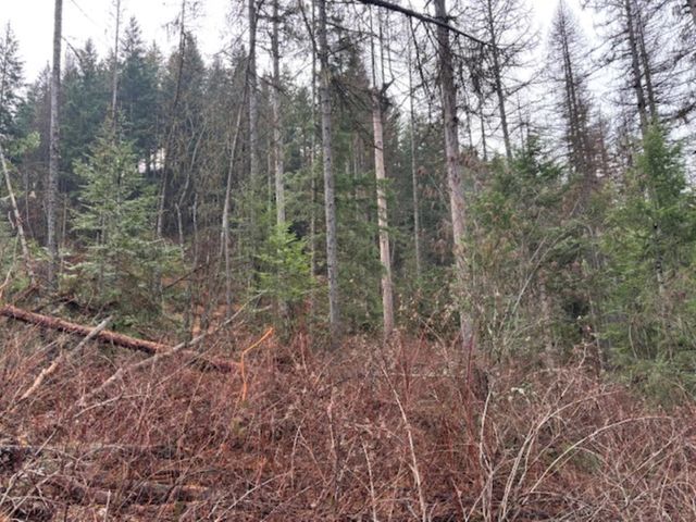 xx S Bobier Rd, Newport, WA 99156